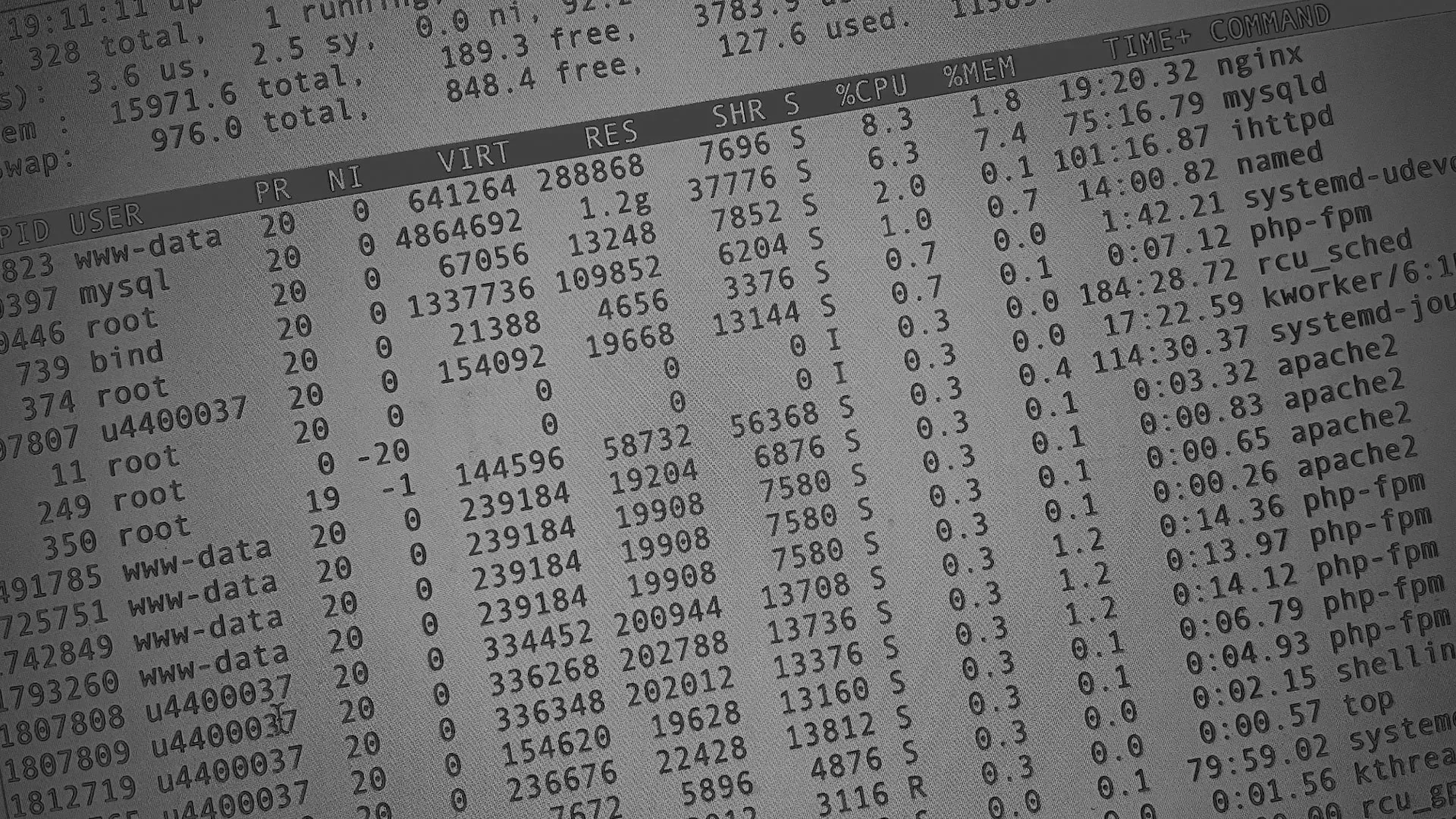 Настройка сервера в Реутове