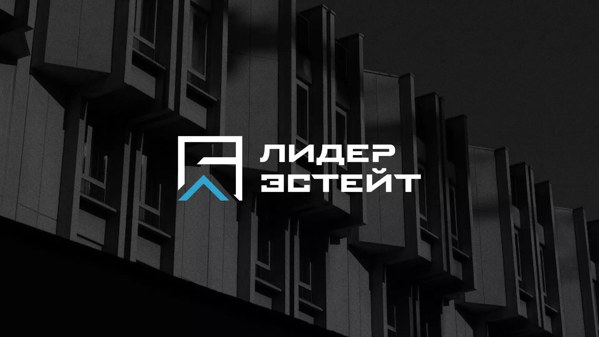 Разработка логотипа агентства недвижимости «Лидер Эстейт» в Реутове